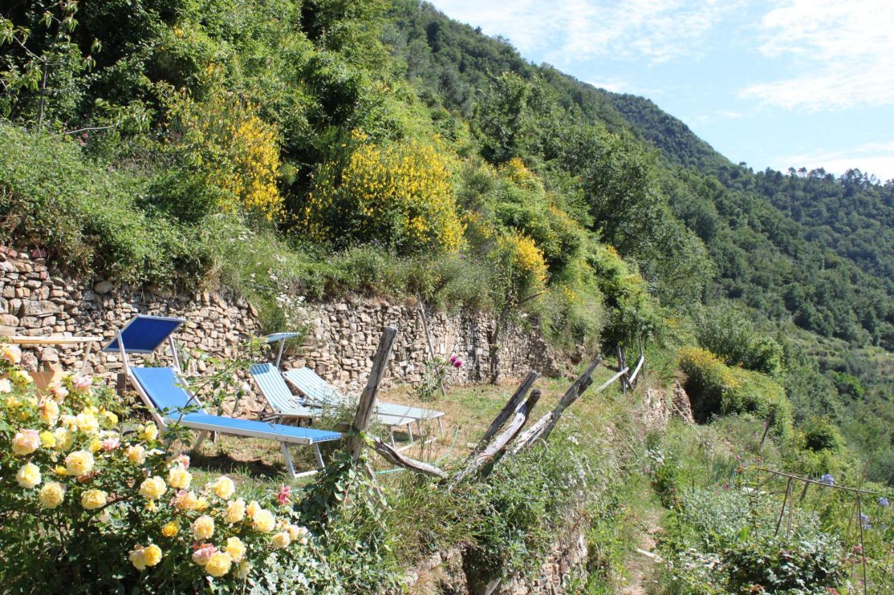 Rural House Villa Vignai Bagian luar foto