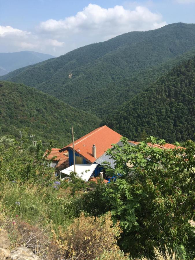 Rural House Villa Vignai Bagian luar foto